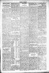 People's Advocate and Monaghan, Fermanagh, and Tyrone News Saturday 12 July 1890 Page 3