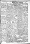 People's Advocate and Monaghan, Fermanagh, and Tyrone News Saturday 12 July 1890 Page 5