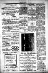People's Advocate and Monaghan, Fermanagh, and Tyrone News Saturday 20 December 1890 Page 7
