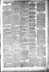 People's Advocate and Monaghan, Fermanagh, and Tyrone News Saturday 17 June 1893 Page 3
