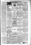 People's Advocate and Monaghan, Fermanagh, and Tyrone News Saturday 03 November 1894 Page 3