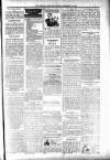 People's Advocate and Monaghan, Fermanagh, and Tyrone News Saturday 10 November 1894 Page 3