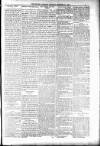 People's Advocate and Monaghan, Fermanagh, and Tyrone News Saturday 17 November 1894 Page 5