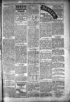 People's Advocate and Monaghan, Fermanagh, and Tyrone News Saturday 07 January 1899 Page 3