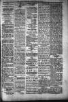 People's Advocate and Monaghan, Fermanagh, and Tyrone News Saturday 14 January 1899 Page 5