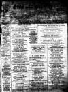 Essex Guardian Saturday 04 January 1896 Page 1
