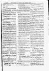 Volunteer Record & Shooting News Saturday 18 April 1885 Page 15