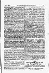Volunteer Record & Shooting News Saturday 18 July 1885 Page 3