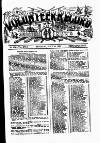 Volunteer Record & Shooting News Saturday 24 June 1893 Page 4