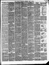 Evesham Standard & West Midland Observer Saturday 13 July 1889 Page 5