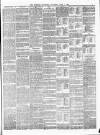 Evesham Standard & West Midland Observer Saturday 01 June 1895 Page 5
