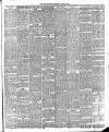 Evesham Standard & West Midland Observer Saturday 05 June 1897 Page 3