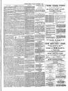 Northern Ensign and Weekly Gazette Thursday 11 November 1880 Page 5