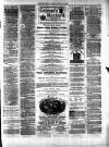 Northern Ensign and Weekly Gazette Thursday 16 February 1882 Page 7