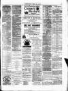 Northern Ensign and Weekly Gazette Thursday 18 May 1882 Page 7