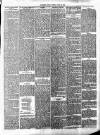 Northern Ensign and Weekly Gazette Tuesday 16 April 1895 Page 3