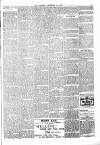 Ealing Gazette and West Middlesex Observer Saturday 28 December 1901 Page 7