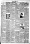 West Middlesex Gazette Saturday 11 August 1894 Page 7