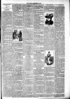 West Middlesex Gazette Saturday 22 September 1894 Page 3