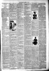 West Middlesex Gazette Saturday 03 November 1894 Page 3