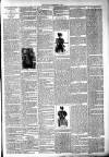 West Middlesex Gazette Saturday 01 December 1894 Page 3