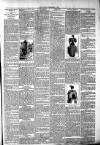 West Middlesex Gazette Saturday 08 December 1894 Page 7