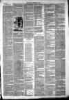 West Middlesex Gazette Saturday 29 December 1894 Page 7