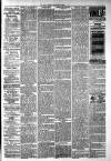 West Middlesex Gazette Saturday 12 January 1895 Page 3