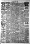 West Middlesex Gazette Saturday 19 January 1895 Page 7