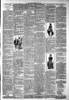 West Middlesex Gazette Saturday 02 February 1895 Page 3