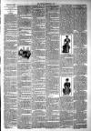 West Middlesex Gazette Saturday 09 February 1895 Page 3