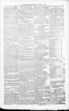 Jewish Record Friday 16 April 1869 Page 5