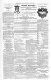 Jewish Record Friday 30 June 1871 Page 7