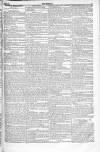 Radical 1836 Sunday 24 April 1836 Page 11