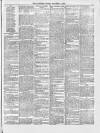 Forest of Dean Examiner Friday 04 December 1874 Page 3