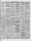 Forest of Dean Examiner Friday 26 February 1875 Page 3