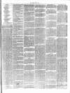 Forest of Dean Examiner Friday 05 March 1875 Page 3
