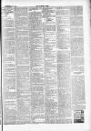 Cotton Factory Times Friday 16 November 1894 Page 7