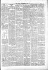 Cotton Factory Times Friday 22 March 1901 Page 5