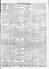 Cotton Factory Times Friday 22 July 1904 Page 3