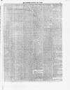 South Staffordshire Examiner Saturday 09 May 1874 Page 3