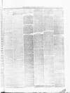 South Staffordshire Examiner Saturday 13 June 1874 Page 7