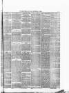 South Staffordshire Examiner Saturday 05 September 1874 Page 7