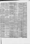 South Staffordshire Examiner Saturday 24 October 1874 Page 7