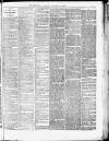 Shropshire Examiner Saturday 19 December 1874 Page 7