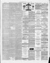 Widnes Examiner Saturday 18 October 1879 Page 7
