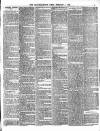 Midland Examiner and Wolverhampton Times Saturday 05 February 1876 Page 3