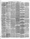 Midland Examiner and Wolverhampton Times Saturday 18 November 1876 Page 3
