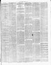 Cannock Chase Examiner Saturday 20 March 1875 Page 3