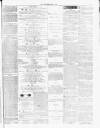 Cannock Chase Examiner Saturday 17 April 1875 Page 7